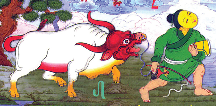 XVII жарны “Муу нүүрт” хэмээх гал бич жилийн зүг, мөр гаргах зурхай